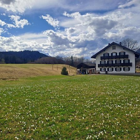 Bauernhaus Jocher 크룬 외부 사진